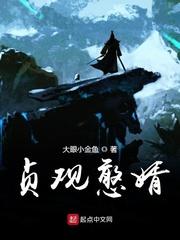 贞观憨婿最后谁当了皇上