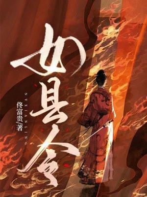 女县令陆晨阳阅读