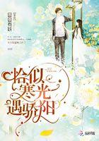 恰似寒光遇骄阳简介