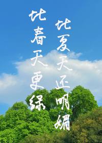 比夏天还明媚连载