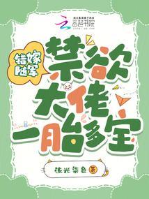 错嫁随军