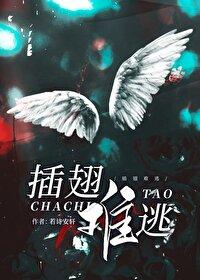 插翅难逃全集29集免费观看