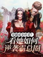 江辰许夏
