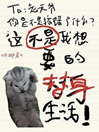 这不是我想要的替身生活讲的什么