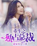 重生之独占总裁TXT