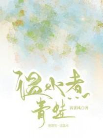 后来的海尔兄弟