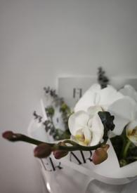 同班同学向我表白该怎么办